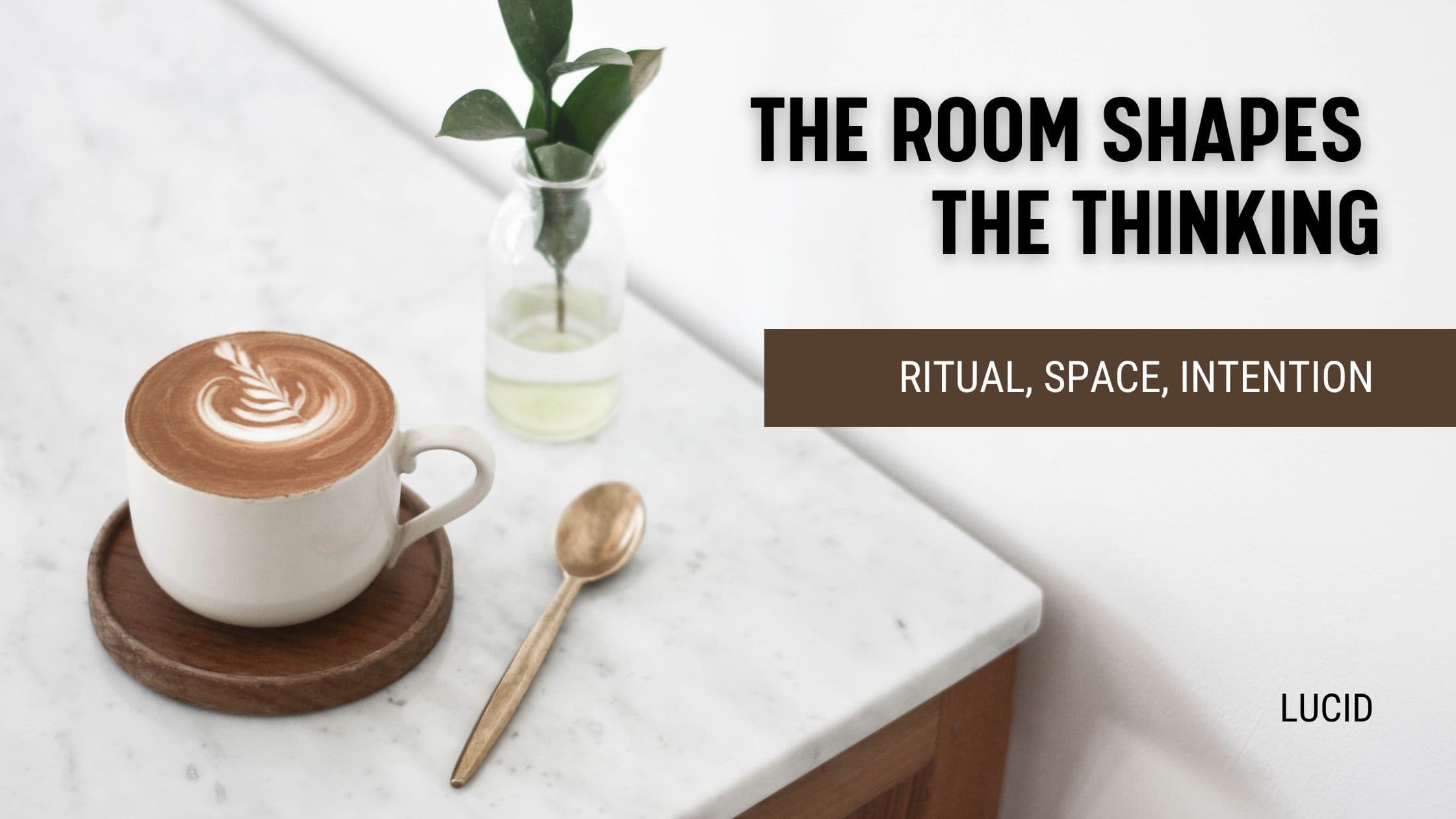 Matcha, libraries, and the spaces where focus lives